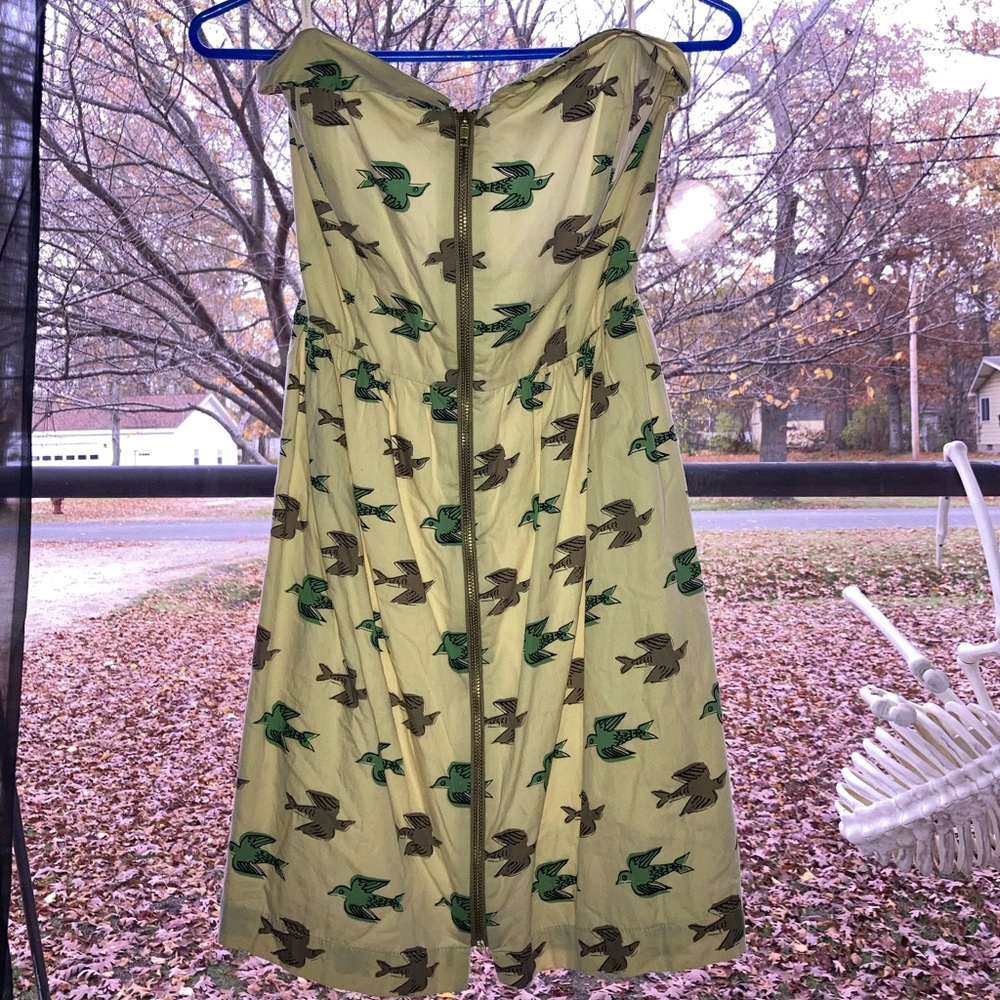 Adorable Anthropology Corey Lynn Calter Dress with Ruffles and Zipper 🦜